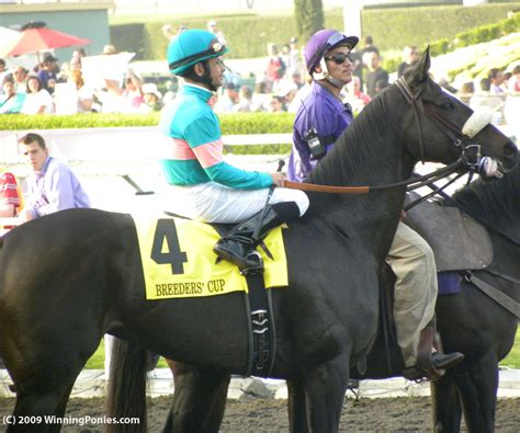 winningponies|Winning Ponies .